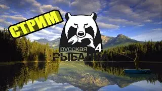Русская рыбалка 4. возвращение блудного рыбака . Общение с подписчиками и музыка по заказам