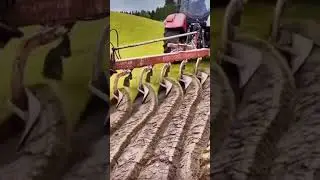 #shortvideo #video