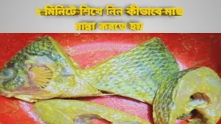 বাঙালি স্টাইলে  অসাধারণ স্বাদের মাছের  রেসিপি |  