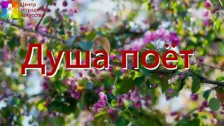 Концертная программа 