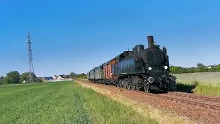 Eurovapor 77 250 mit einem Sonderzug in Lübben