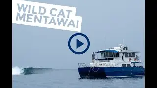 Wild Cat Surf Charter, Mentawai