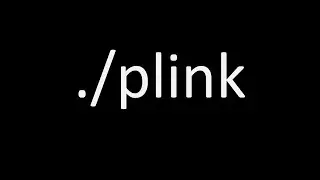 How to change file permissions and run PLINK in Linux