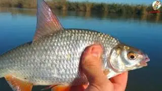 Fishing in October and November. Where to catch what and what to use.