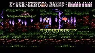 The Game Genie Player - Spiderman 2 (NES) - Ninja Gaiden 3 Hack