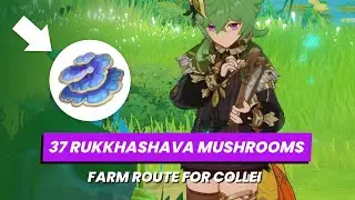 37 RUKKHASHAVA MUSHROOMS // Quick & Easy Farming Guide Route to level up Collei 🌱 Genshin Impact 3.0