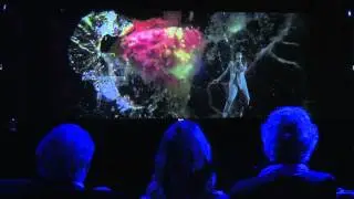 AntiQuark test on the Holographic-like Stage
