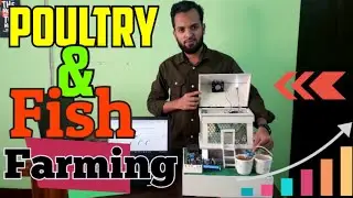 IoT Based Poultry and Fish Farming System || Science Project || বিজ্ঞান প্রজেক্ট
