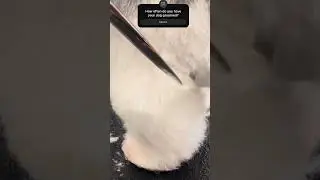 Satisfying snips