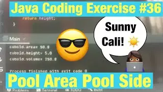 I Tried a Java OOP Pool Area Program