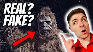 The Truth Behind BIGFOOT: Sightings in the Pacific Northwest 🦍
