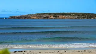 Peaceful Solo Surf Session FULL UNEDITED | Fun waves + dolphins with calming ocean sounds