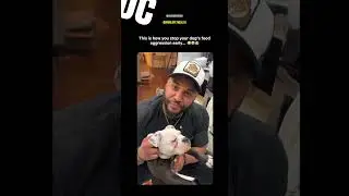 @Worldpethealth shows us how to cut food aggression early 💀😳🐶 