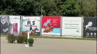 Endless pride - csi Lier - 6y class