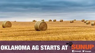 Limiting Hay Waste (2/6/21)