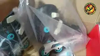 SEPATU RODA INLINE SKATE PEMULA COUGAR MZS307C - 41 ( new )