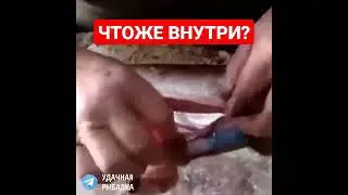 Что же внутри  щуки ? Я в шоке! 