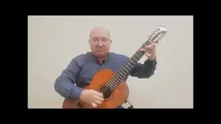 Владимир Мальганов  Австрийский вальс