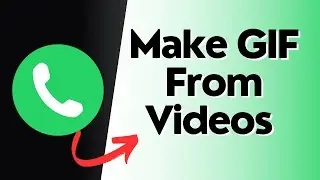 How to Make Gif From Videos on WhatsApp on Android
