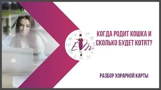 Когда родит кошка и сколько будет котят? Разбор хорарной карты