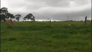 Fim de tarde na roça chuva chegando troca do gado de pasto inscreva se deixe like e comente compart.