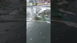 a mãe e o pai de todas saalada