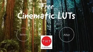 35+ Free cinematic LUTs for Premier Pro  | Color Grade Your Videos (Link in the description)