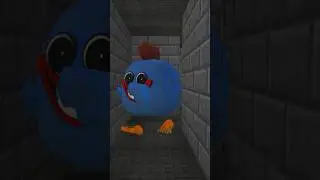 How to become a meat chicken?