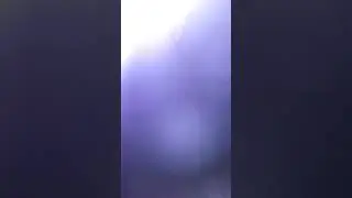 Припять 2