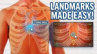 Clinical Anatomy of Thorax: Rib Counting, Heart Margins & Best Spots for Heart & Lung Auscultation