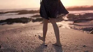 No Copyright Free , Nature Videos Copyright Free Download, Copyright Free Background, 4k Free Stock