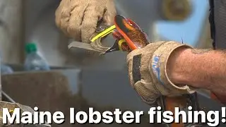 Maine lobster fishing!