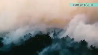 Ormanın Gözleri yakında habitat TV'de