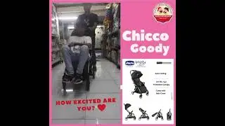 Chicco goody Plus stroller cabin