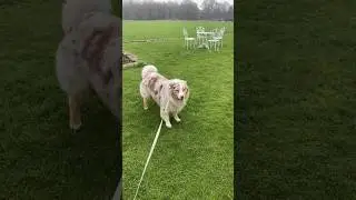 Давай только по-быстрому,а?!