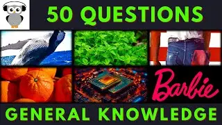 General Knowledge Quiz Trivia #144 | Whale Fat, Oregano, Bruce Springsteen, Orange, Tensor, Barbie