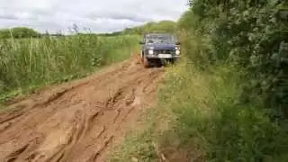 Нива
