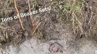 Opening day of 2025 trapping (Beaver trapping with drowners) ep1