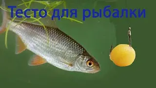 Самая уловистая наживка. Пять рецептов теста для рыбалки.