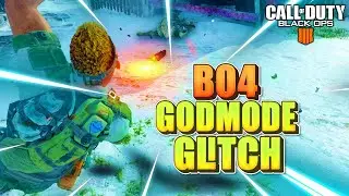 BO4 GODMODE GAMEPLAY (INFINTE HEALTH/FLOATING GUN GLITCH)