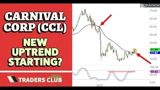 I'm long on Carnival Corp (CCL)