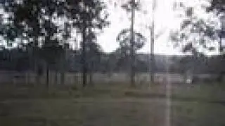 Cancer in Australia
