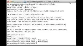 Initial Access to VPS