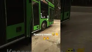МАз 215.069, поморгал)