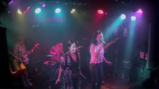 Wildwood Roses LIVE - Like A Lady