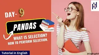 Day 9 Pick Your Pandas: Mastering Selection Techniques