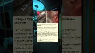 История Миранды Ив: Очаровательной девочки путешествие
