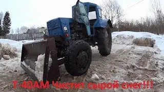 Не ожидал как Трактор т40 справится с сырым снегом