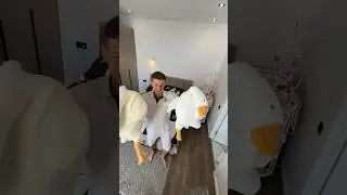 Подарил жене целую комнату мягких игрушек 😅 что скажет дочка, когда это увидит ? 🥹