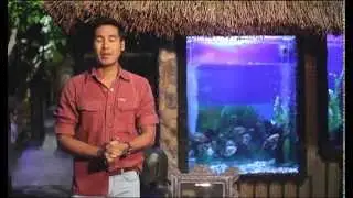 Kanto Freestyle Breakfast on Bread n' Butter - UNTV 37